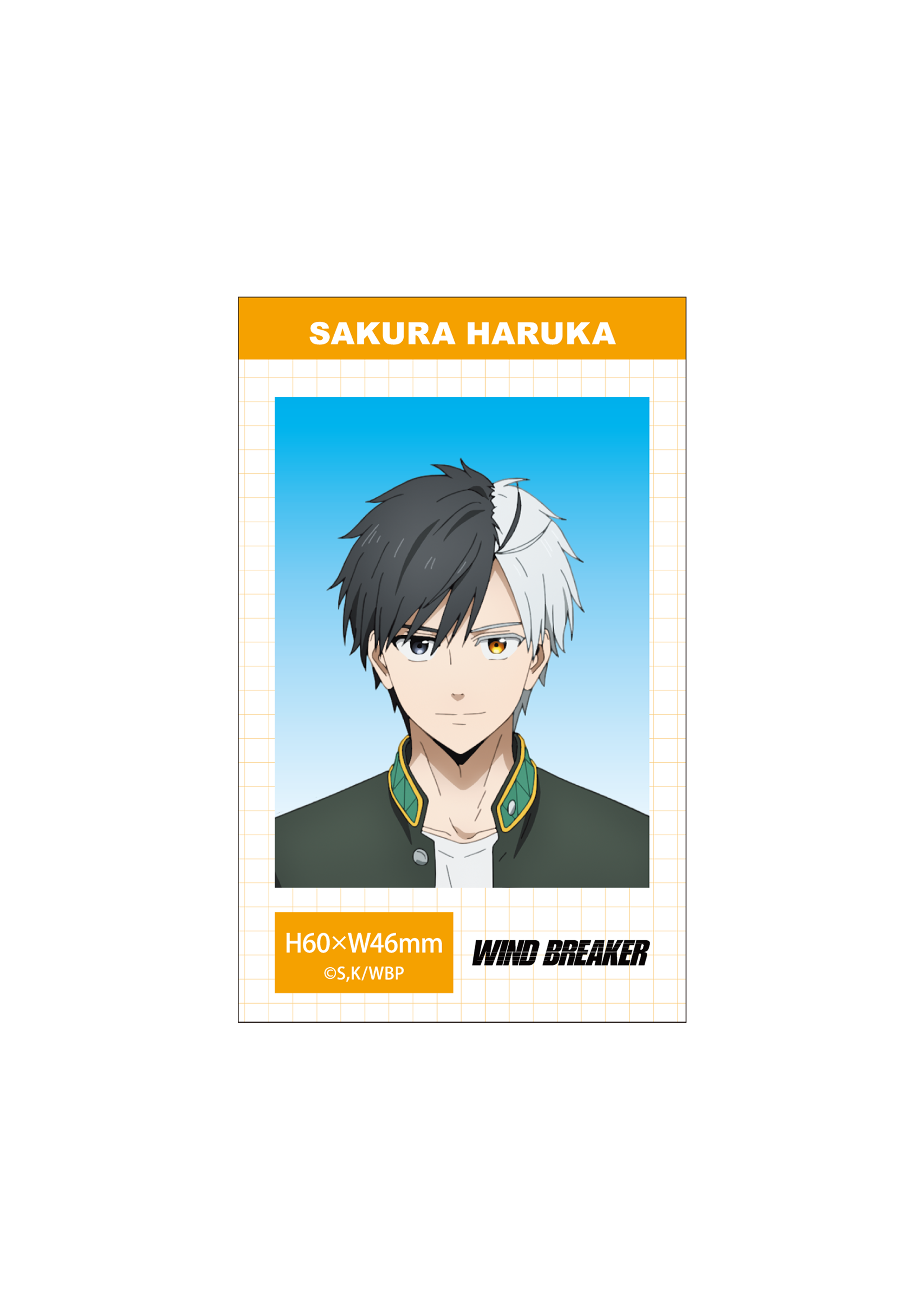 (Goods - Bromide) WIND BREAKER Season 2 ID Card Photo Style Bromide Set (Haruka Sakura)