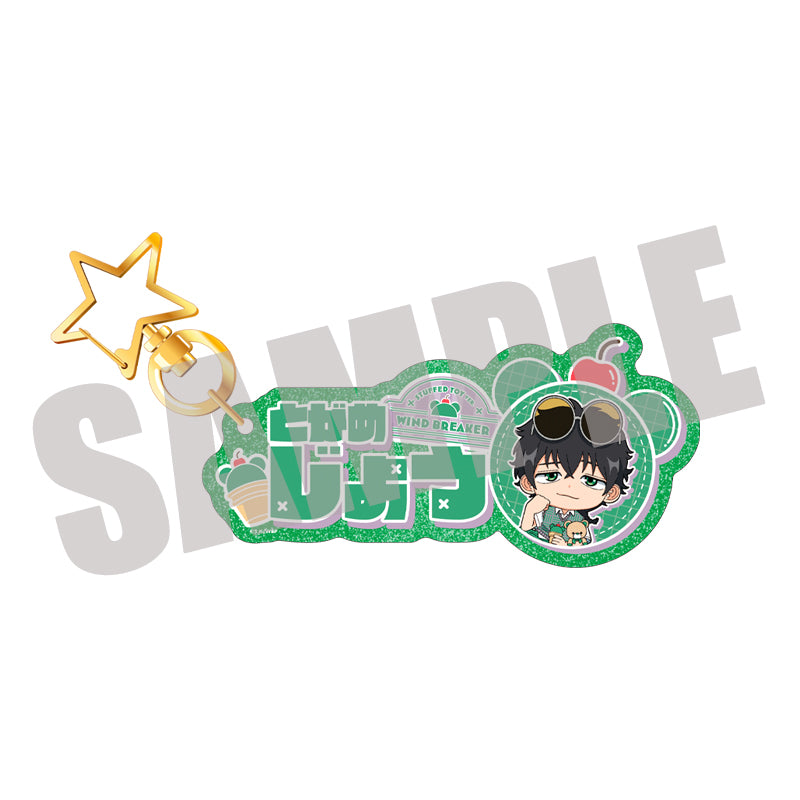 (Goods - Keychain) WIND BREAKER Onamae Keychain Jo Togame STUFFED TOY ver.