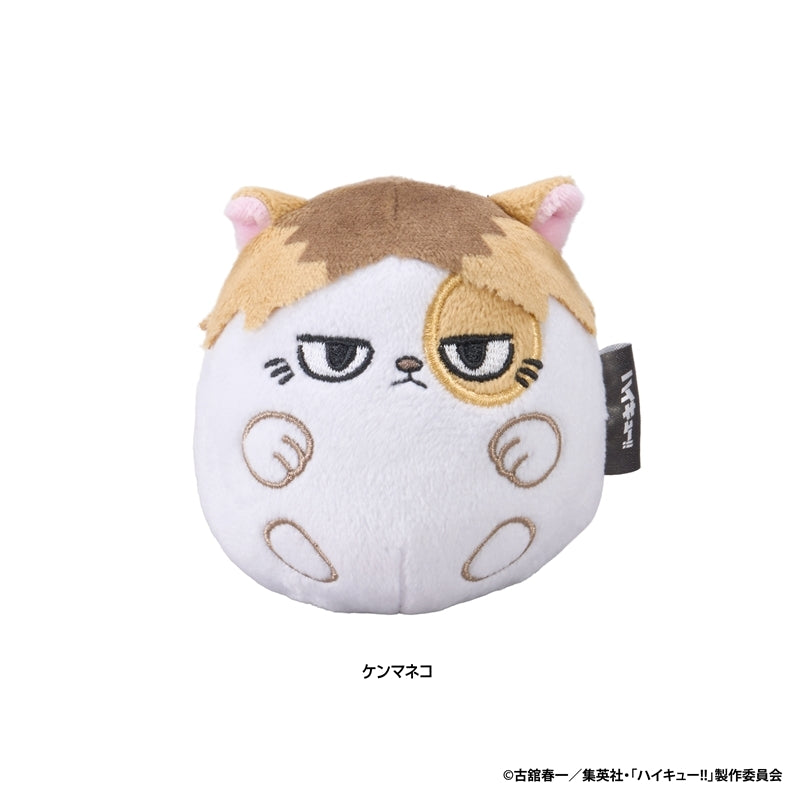 (Goods - Plush) Haikyu!! Nui Koron (Kenma-kitty)