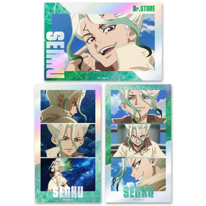 (Goods - Sticker) Dr. STONE Thumbnail Kira Sticker Set Senku Ishigami