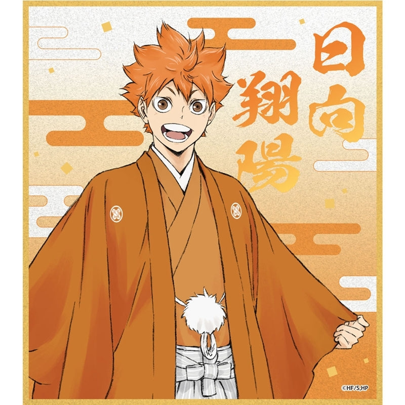 (Goods - Art Board) Haikyu!! Glitter Acrylic Art Board Shoyo Hinata Karasuno/Inarizaki New Year Ver.