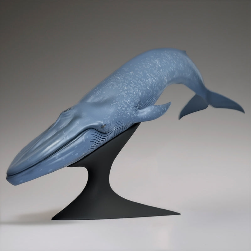 (Figure) Blue Whale National Museum of Nature and Science Permanent Exhibition (Outdoor Exhibit) Complete Figure