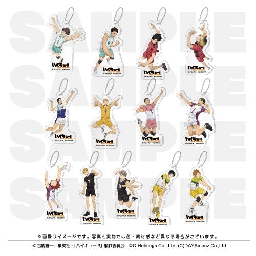 (1BOX=13)(Goods - Keychain) Haikyu!! TOUCH THE DREAM Acrylic Keychain Collection B (13 Types Total)