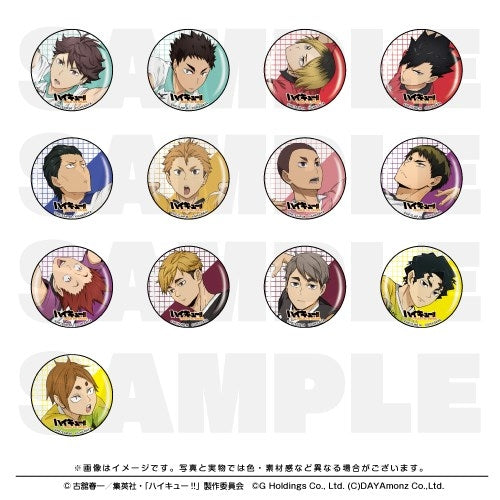 (1BOX=13)Goods - Badge) Haikyu!! TOUCH THE DREAM Button Badge Collection B (13 Types Total)