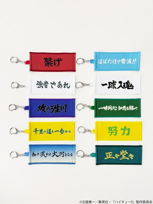 (1BOX=10)(Goods - Keychain) Haikyu!! Trading Miniature Towel Keychain Banner Vol. 2