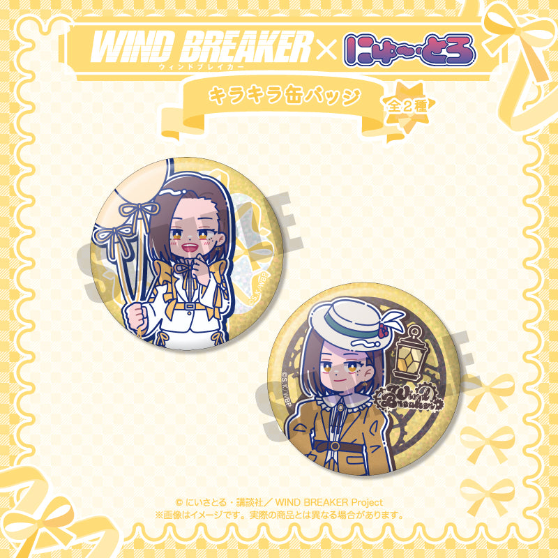 (Goods - Badge) WIND BREAKER Nyu~toro Birthday Item Kotoha Tachibana Sparkling Button Badge A