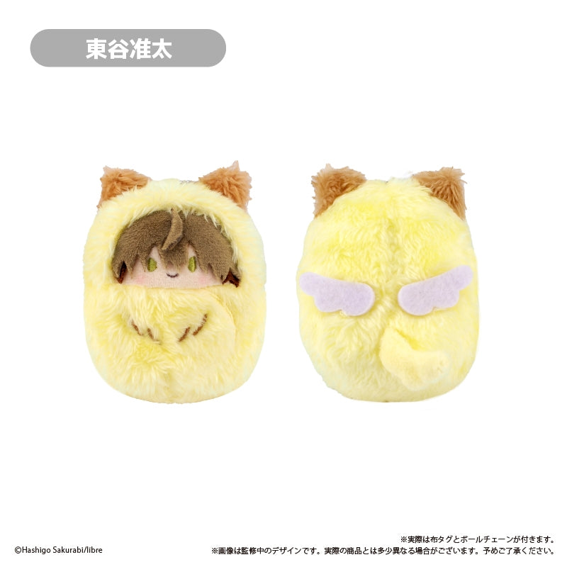 (1BOX=4)(Goods - Plush) DAKAICHI: I'm being harassed by the sexiest man of the year Kurumi Tapinui