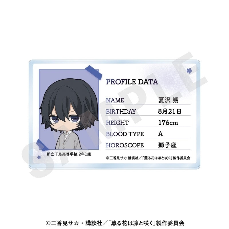(Goods - Card) TV Anime - The Fragrant Flower Blooms with Dignity ~favorite series~ Profile Acrylic Card (Saku Natsusawa)