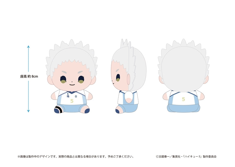 (Goods - Plush) Haikyu!! Haikyu!! Mocchibi Plush Korai Hoshiumi