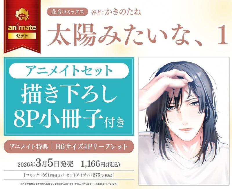 (Book - Comic) Like the Sun (Taiyou Mitai na,) Vol.1 {animate Bonus: Leaflet}