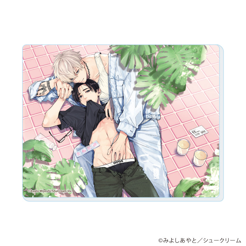 (1BOX=8)(Goods - Card) Dear My Underdog 01 (Official & Exclusive Art)