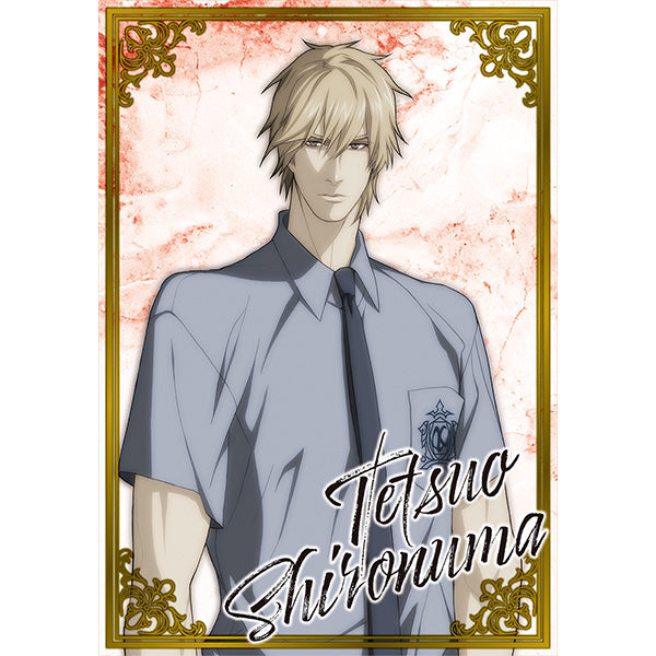Purchase Bonus: NITRO CHiRAL Post-Event Online Sales Exclusive Character Card (1 Random, 28 Types Total)