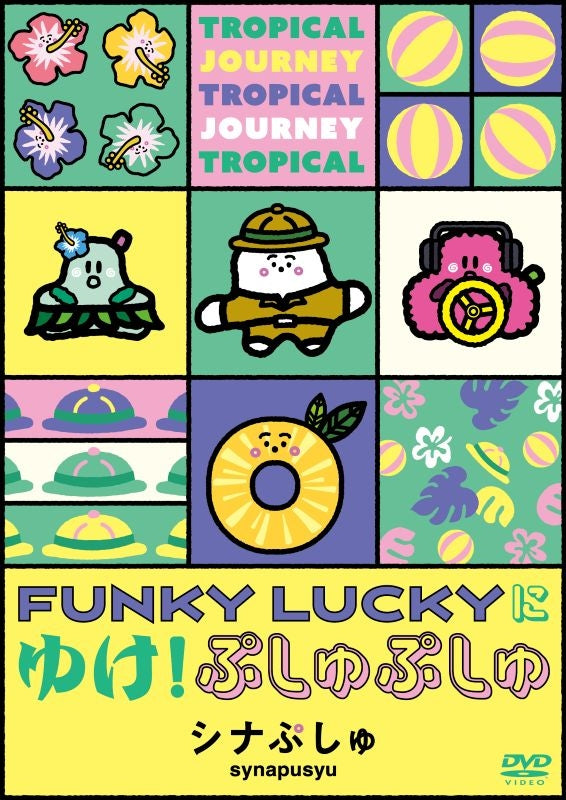 DVD