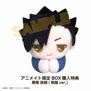 animate Bonus: BOX Bonus: Hug Chara Collection 2 Tetsuro Kuroo (Uniform ver.)