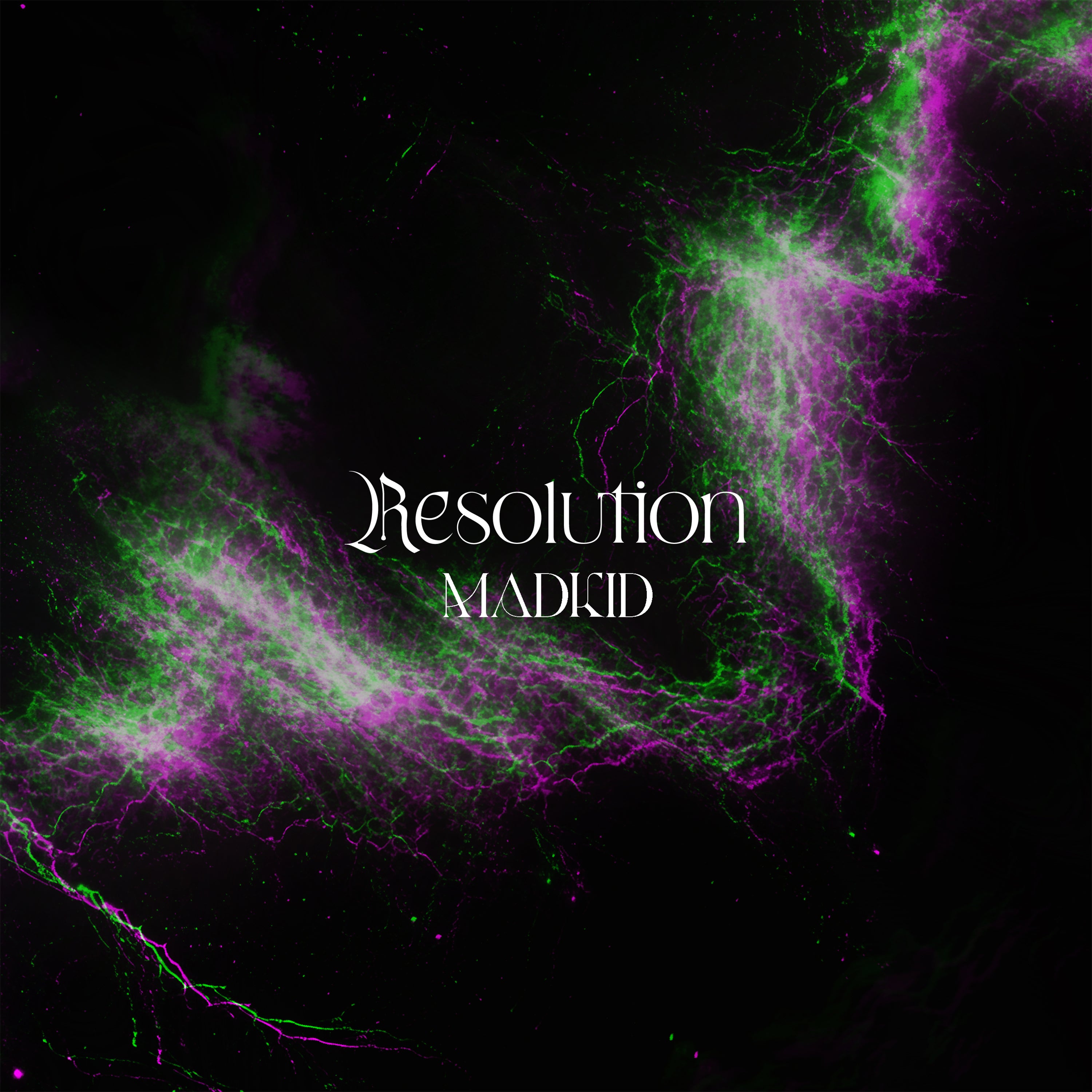 (Music) The Rising of the Shield Hero TV Series Season 4 OP: Resolution by MADKID (Type-B)