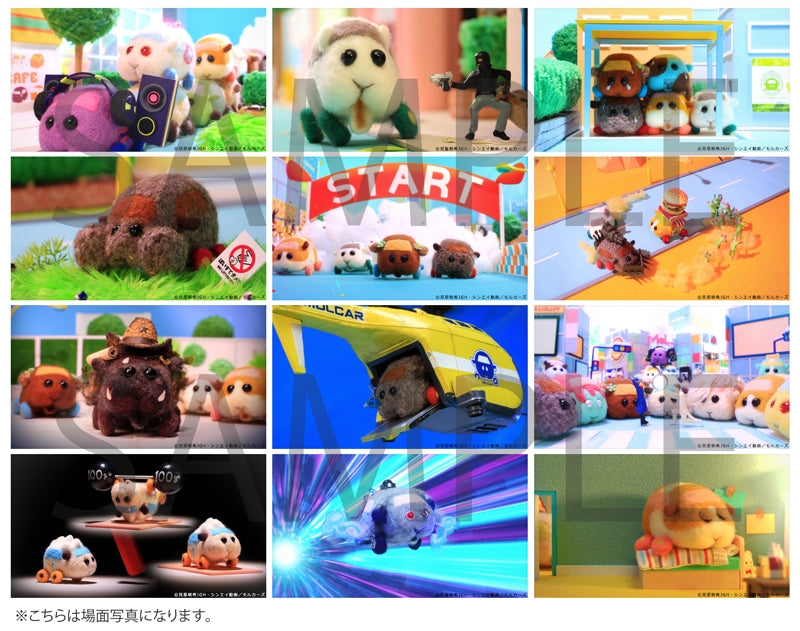 (DVD) Pui Pui Molcar TV Series Animate International