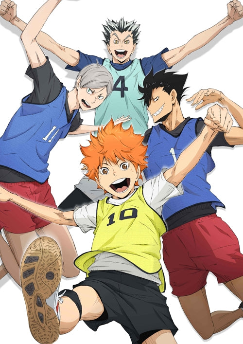 (Blu-ray) Haikyu!! TV Series 2nd Season Vol. 2 - Animate International