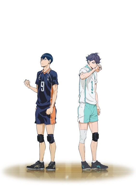 (DVD) Haikyu!! Aoba Johsai High Match Recap Movie: Talent and Sense Animate International