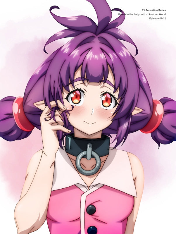 (DVD) Harem in the Labyrinth of Another World TV Series DVD BOX Part 2