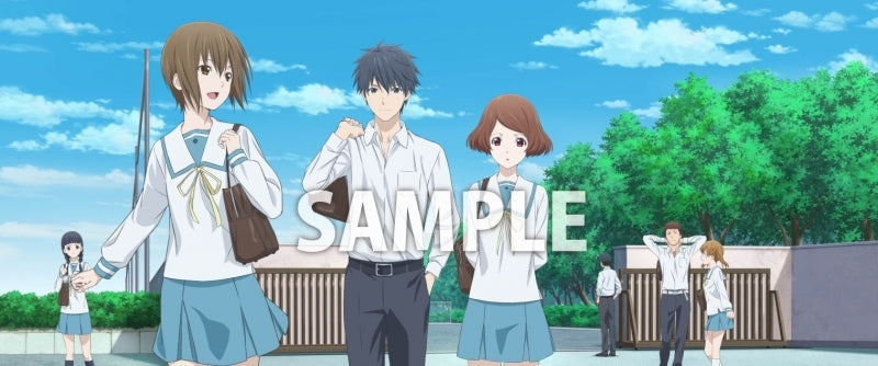 (DVD) Sagrada Reset TV Series Box 4 Animate International