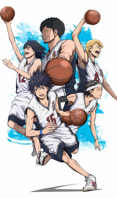 (DVD) Ahiru no Sora TV Series vol. 13 Animate International