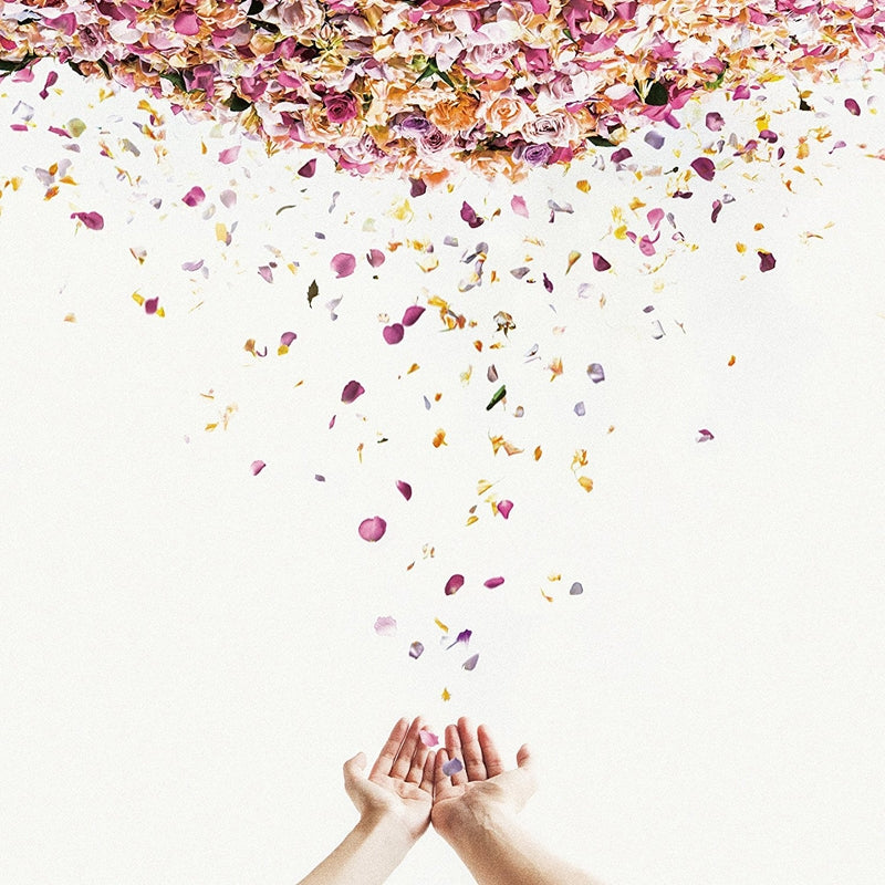 (Theme Song) DRAGON BALL SUPER TV Series ED: Haruka by LACCO TOWER Animate International