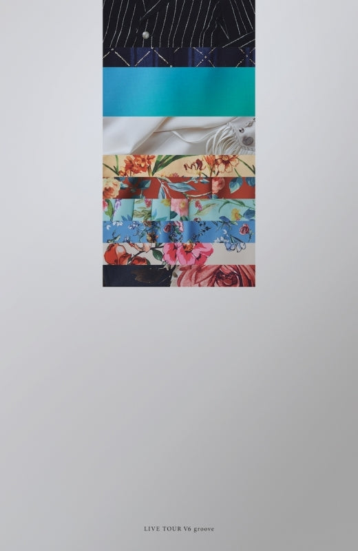 animate】(DVD) LIVE TOUR V6 groove by V6 [First Run Limited