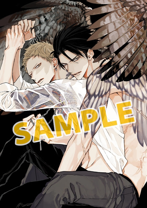 (Drama CD) NIGHTS BEFORE NIGHT Animate International