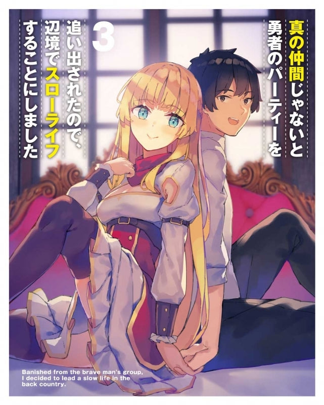 (DVD) Banished from the Hero's Party, I Decided to Live a Quiet Life in the Countryside TV Series Vol. 3 - Animate International