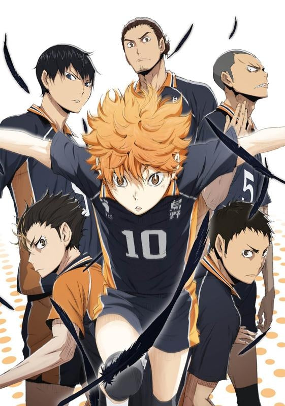 (DVD) Haikyu!! TV Series Vol. 5 - Animate International