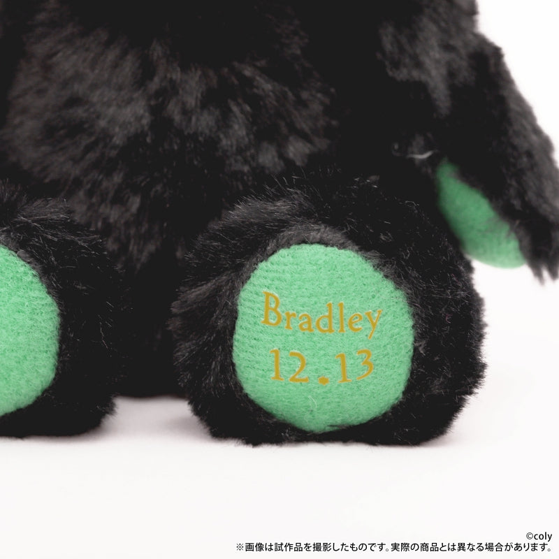 [t](Goods - Plush) Promise of Wizard Birthday Bear Bradley [animate Limited Selection]
