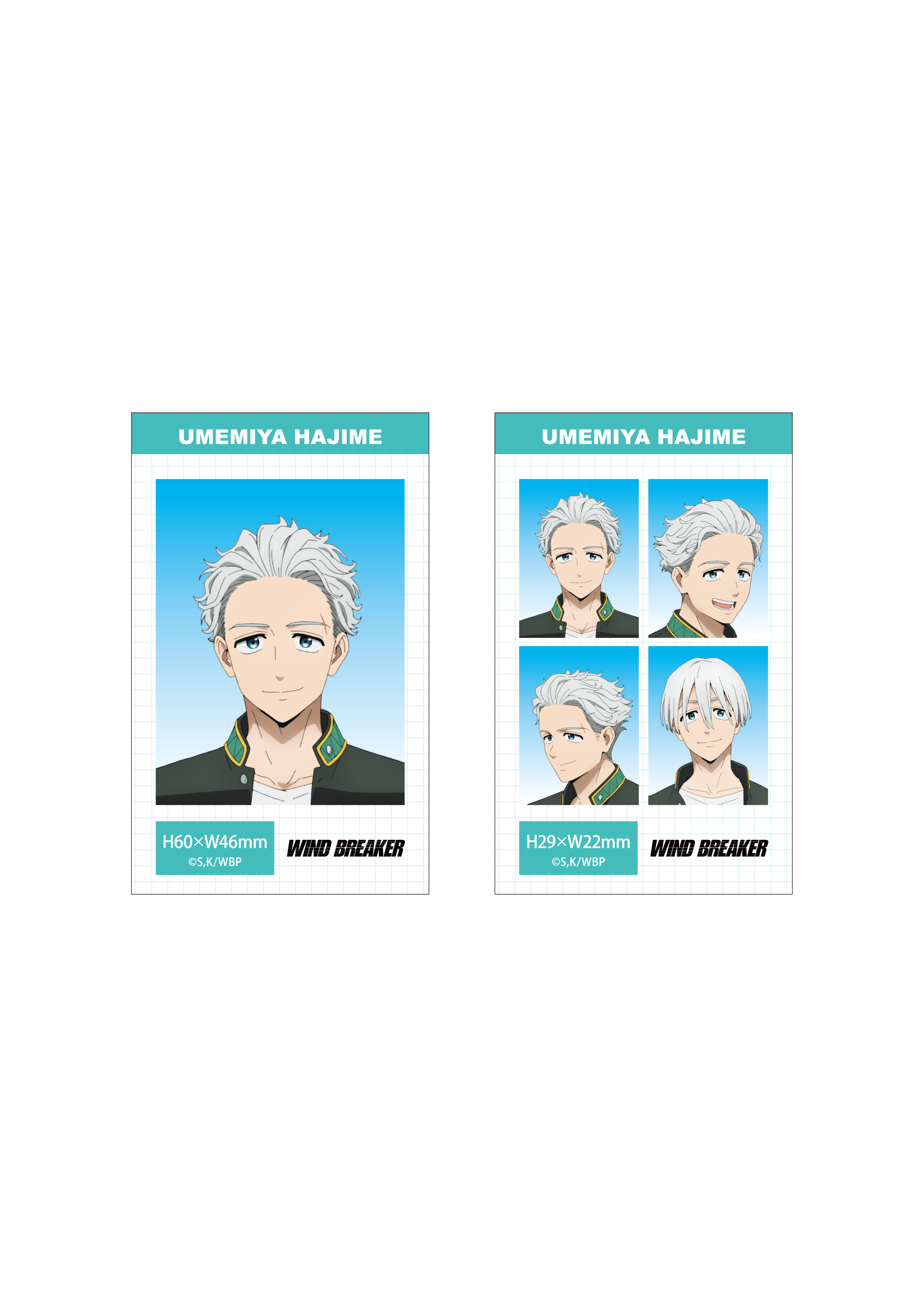 (Goods - Bromide) WIND BREAKER Season 2 ID Card Photo Style Bromide Set (Hajime Umemiya)