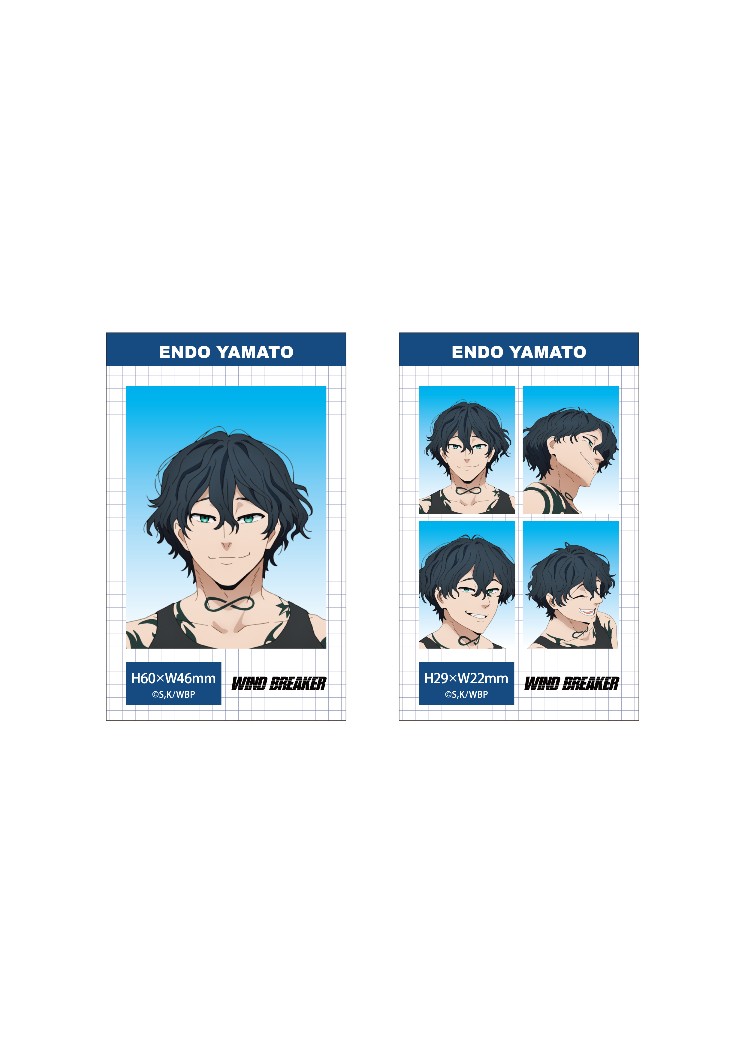 (Goods - Bromide) WIND BREAKER Season 2 ID Card Photo Style Bromide Set (Yamato Endo)