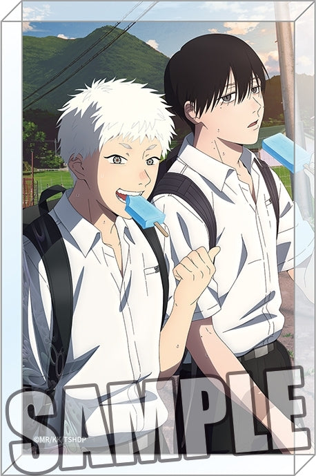 (Goods - Ornament) TV Anime - The Summer Hikaru Died Acrylic Block B