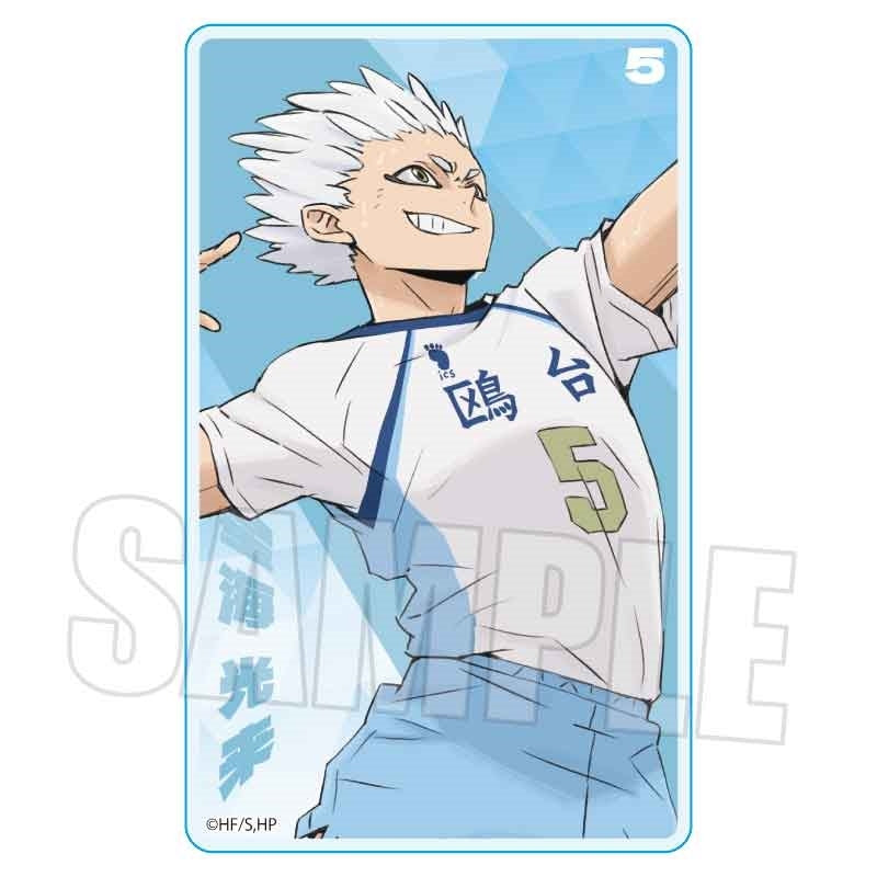 (Goods - Card) Haikyu!! Acrylic Card Korai Hoshiumi