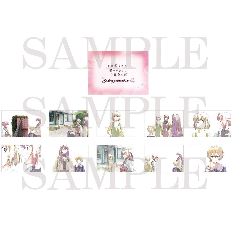 (Goods - Postcard) Kamiina Botan Fully Blossoms When Drunk Postcard Set w/Case (Ending 12)