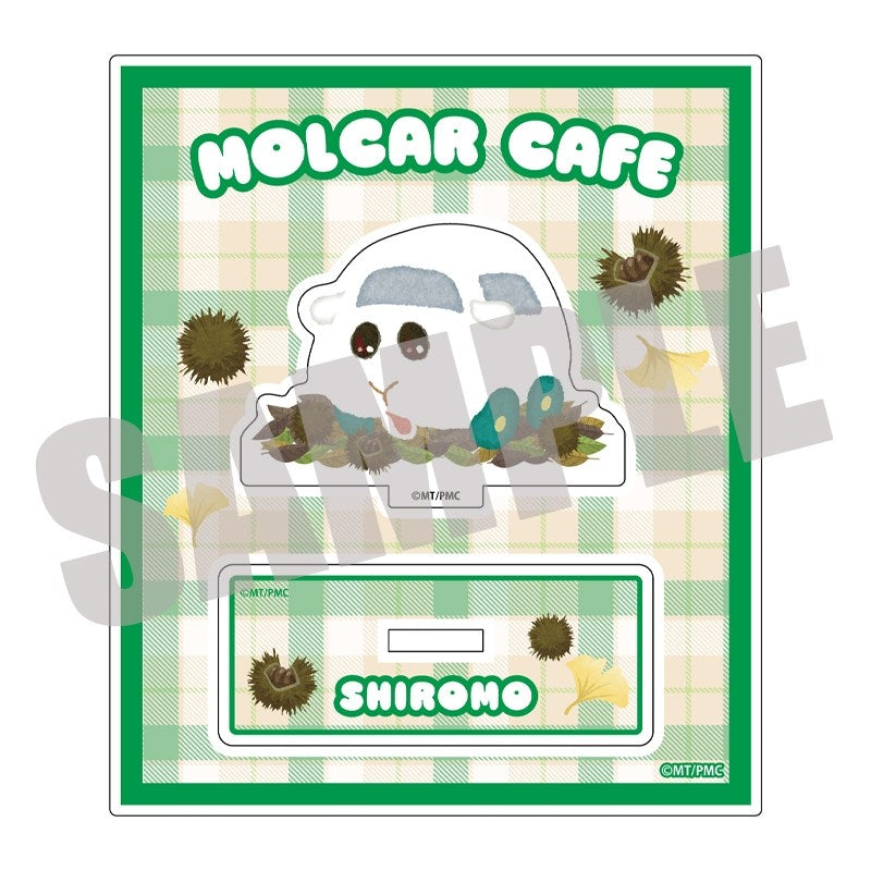 (Goods - Acrylic Stand) PUI PUI Molcar Acrylic Stand Shiromo AUTUMN ver.