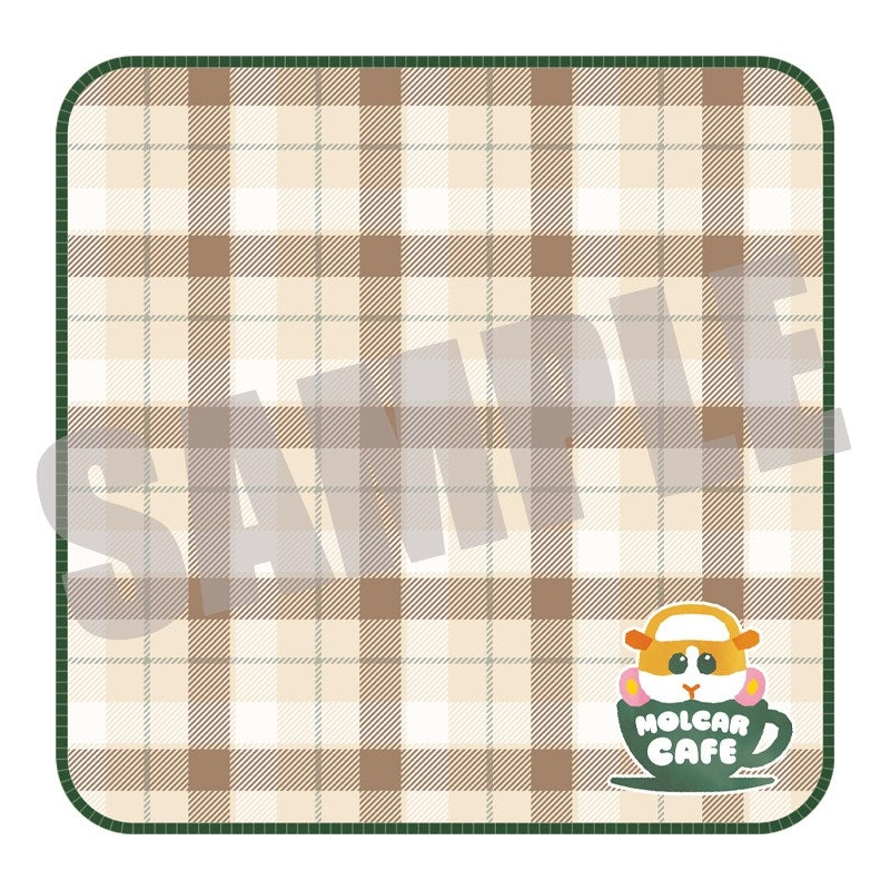 (Goods - Towel) PUI PUI Molcar Embroidered Towel Handkerchief Green AUTUMN ver.
