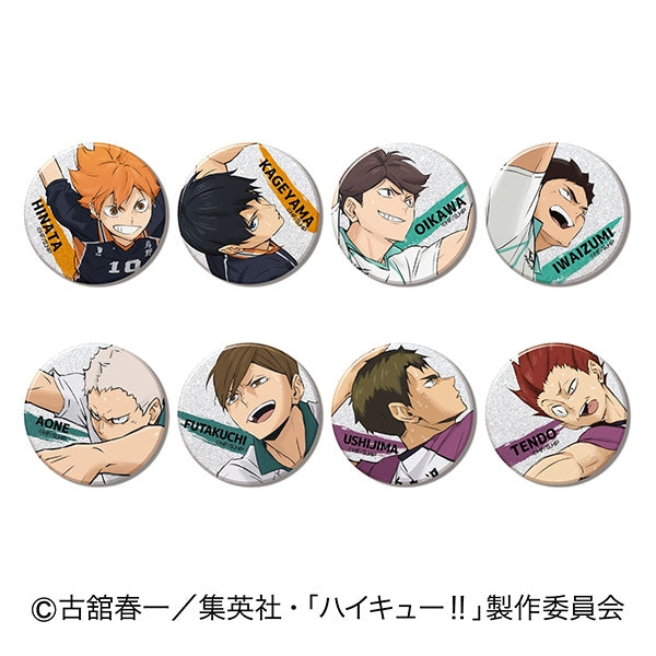(1BOX=8)(Goods - Badge) Haikyu!! Glitter CAN Badge BOX A