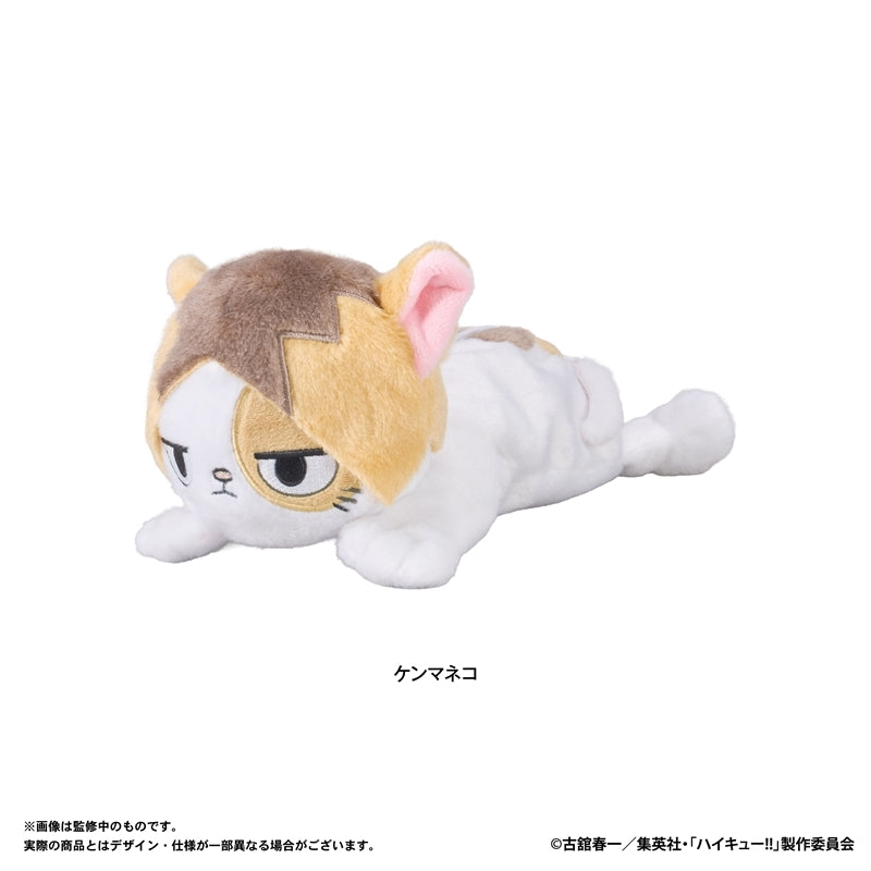 (Goods - Pencil Case) Haikyu!! Plush Pencil Pouch (Kenma-kitty)
