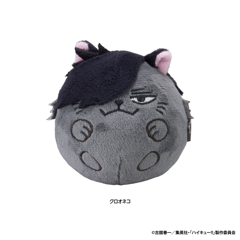 (Goods - Plush) Haikyu!! Nui Koron (Kuroo-kitty)
