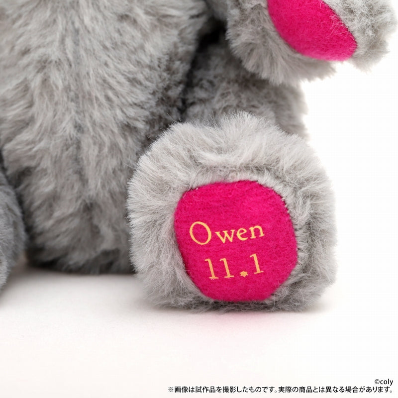[t](Goods - Plush) Promise of Wizard Birthday Bear Owen [animate Limited Selection]