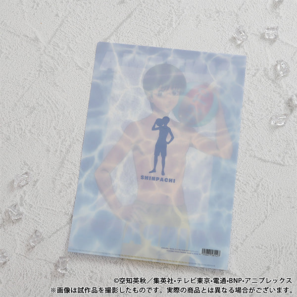 (Goods - Clear File) Gintama Clear File / Shinpachi Shimura Pool