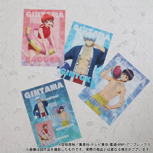 (Goods - Clear File) Gintama Clear File / Shinpachi Shimura Pool