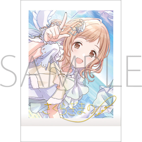 [※Blind](1BOX=10)(Goods - Bromide) THE IDOLM@STER SHINY COLORS PashaColle / vol. 2
