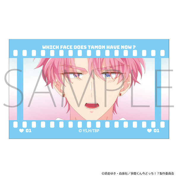 (1BOX=10)(Goods - Card) Tamon's B-Side Film Style Collection