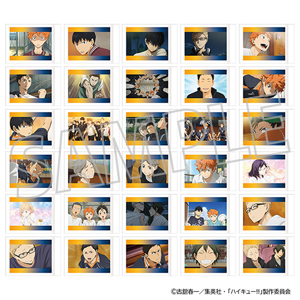 (1BOX=10)(Goods - Bromide) Haikyu!! PashaColle / Karasuno High