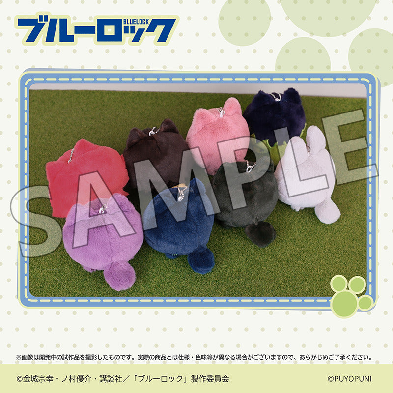 (Goods - Plush) Blue Lock Puyopuni Series - 10cm Nyanko Dango Plush Mascot Sae Itoshi