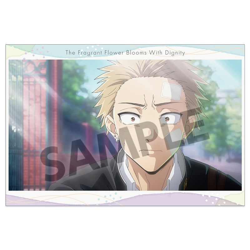 (Goods - Postcard) The Fragrant Flower Blooms with Dignity Postcard Set vol. 3