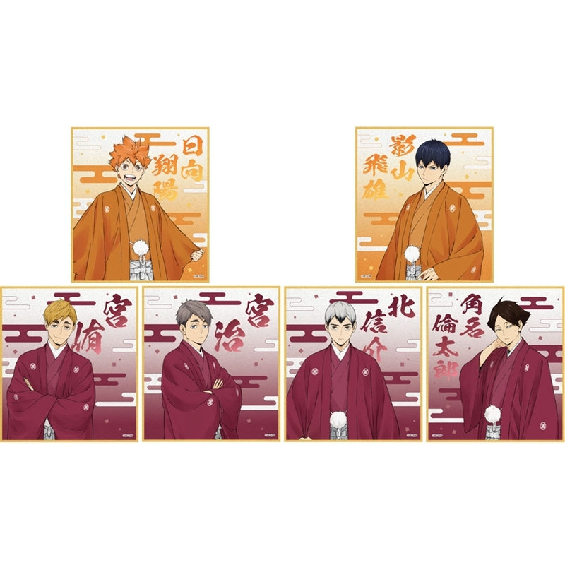 (Goods - Art Board) Haikyu!! Glitter Acrylic Art Board Shoyo Hinata Karasuno/Inarizaki New Year Ver.